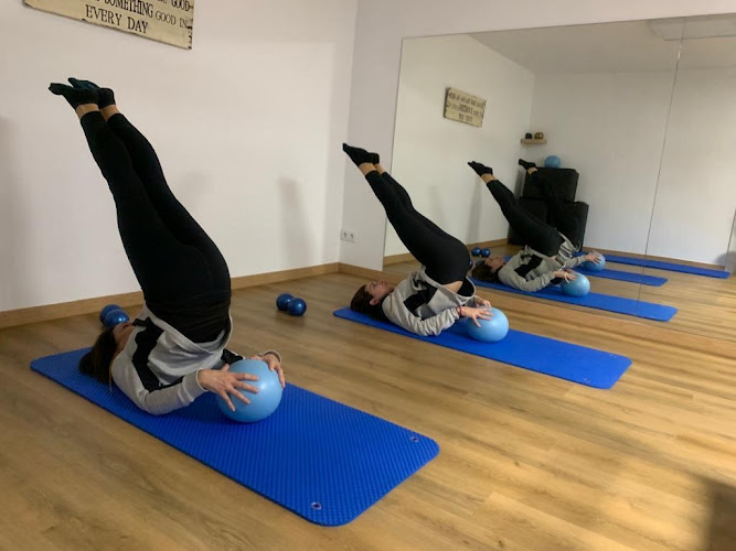 Centro De Pilates Monte Rozas