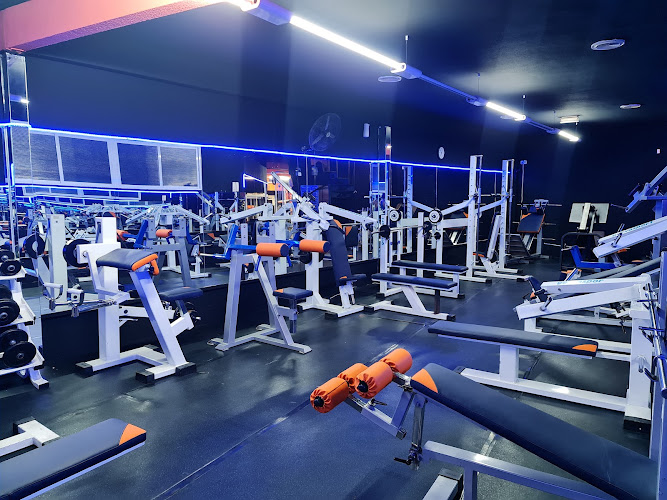 Gimnasio Olympia Villarejo