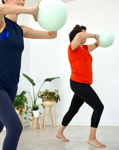 Insaid Pilates & Wellness