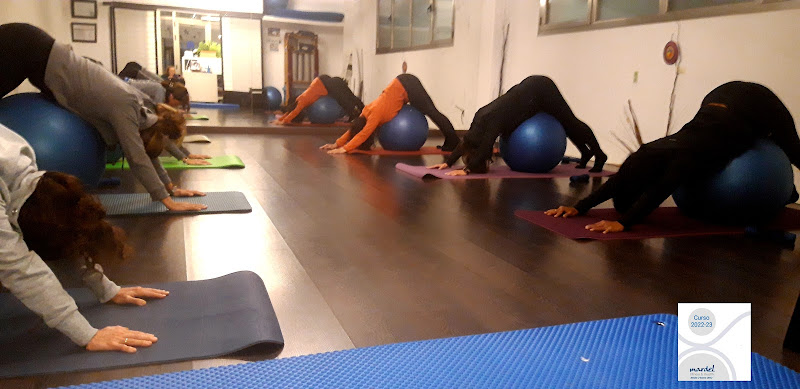 Mardel Fitness & Health