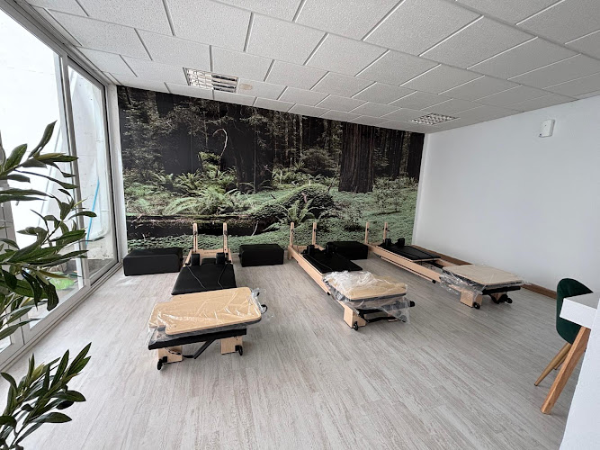 Nilfit Wellness -Pilates Máquina -Yoga -Masajes -Nutrición -Meditación -Funcional -Reiki