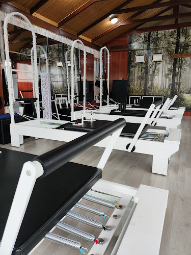 Pilates Reformer Moraleja