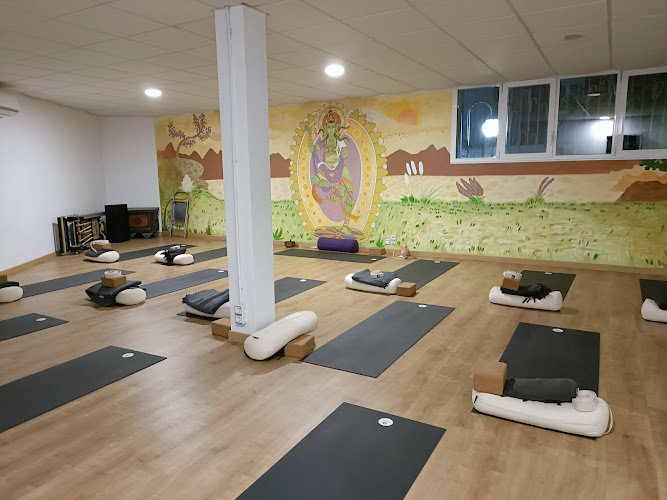 Vitality Pilates & Yoga