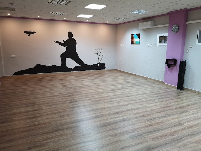 Sala Multiactividad Fisioterapia Miguel Ángel